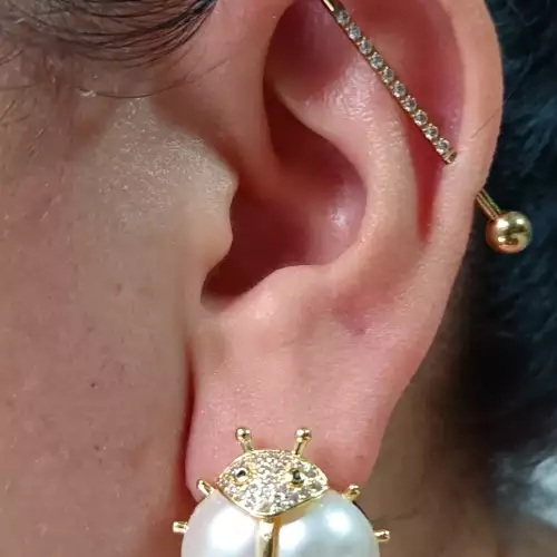 Aretes Escarabajo en rodio con perlas y circones