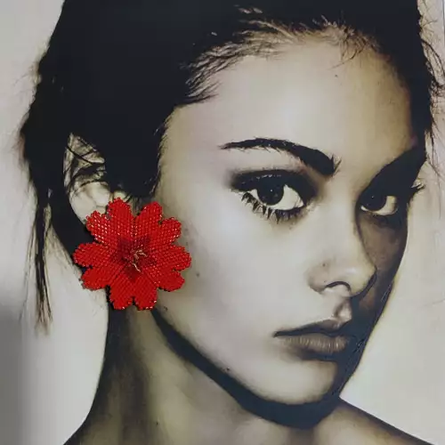 ARETES FLORES DE FUEGO