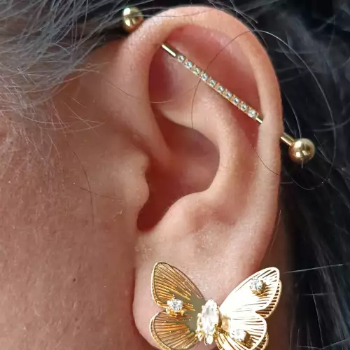Aretes mariposa dorados con zircones para mujer