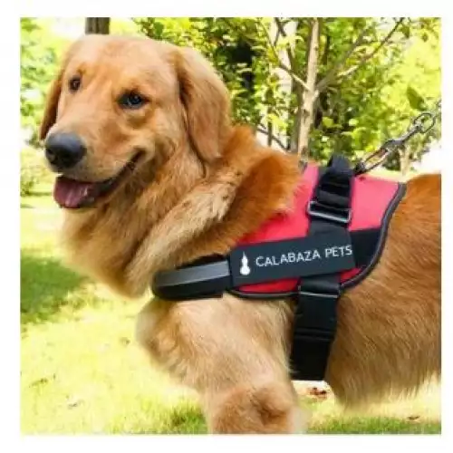 Arnés chaleco anti-tirones para perros medianos