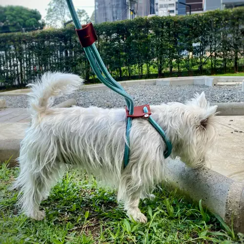 Arnés para perro XL nylon cuero ajustable hecho a mano