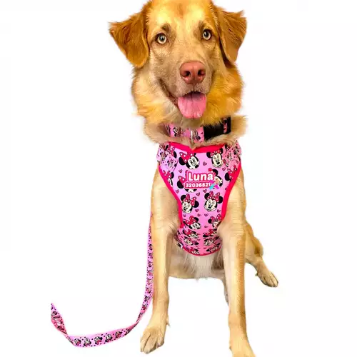 Arnés tipo pechera personalizado para perros y gatos