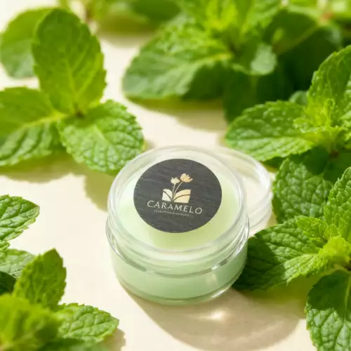 Bálsamo labial botánico menta fresca 20 gr refrescante