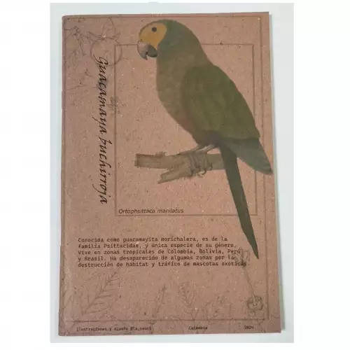 Bitácora - cuadernito Guacamaya buchirroja