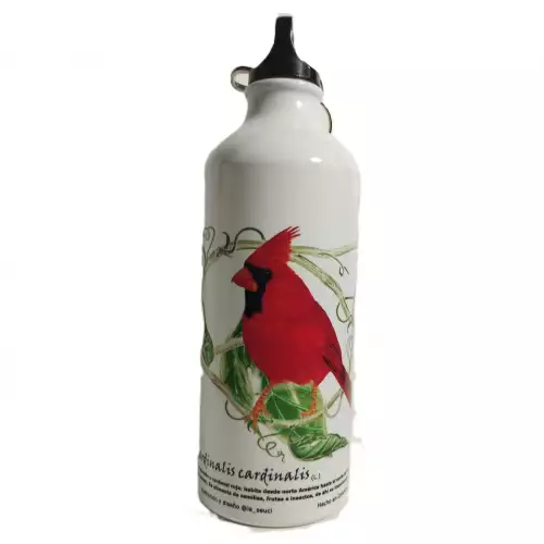 Botella - botilito en acero inoxidable Cardenal