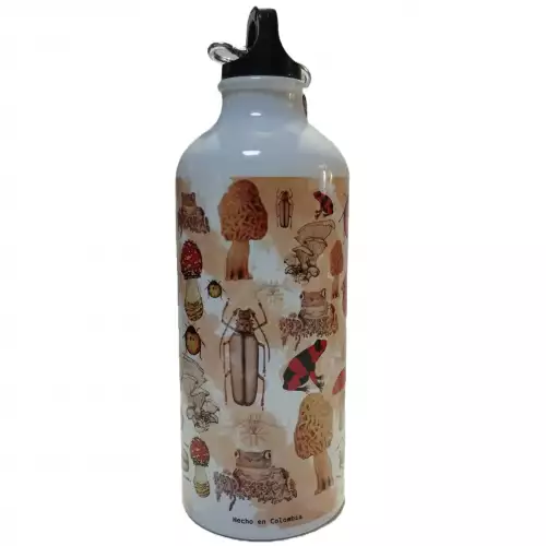 Botella - botilito en acero inoxidable Knolling 1