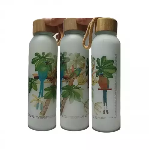 Botella en vidrio esmerilado con tapa en madera reciclada. Barranqueros - colibrí