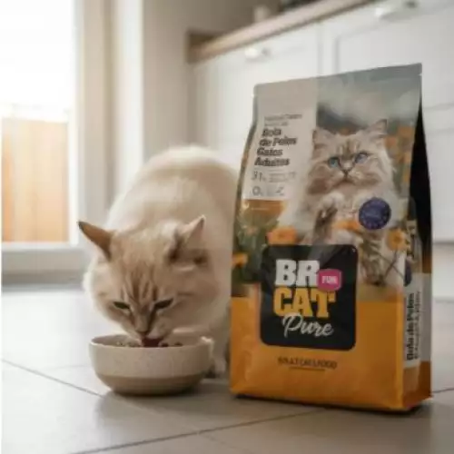 BR FOR CAT Bola de Pelos – ¡Adiós a las molestias y arcadas!   3KILOS