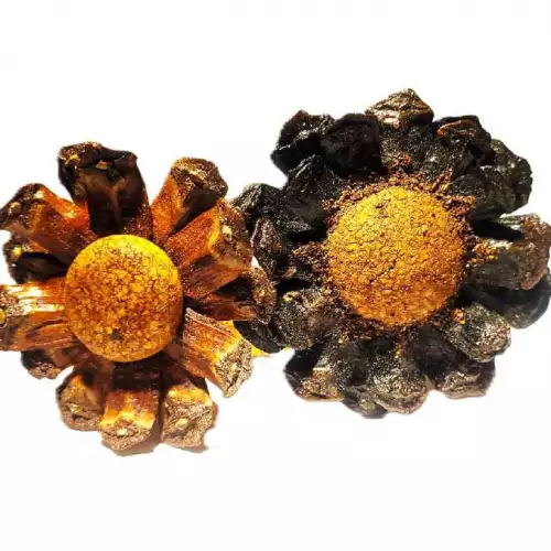 Broche prendedor escamas cono pino artesanal