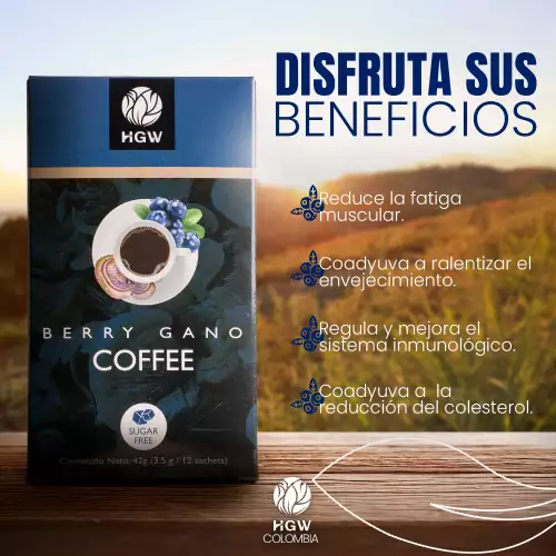 Café instantáneo con arándanos y ganoderma 12 sobres