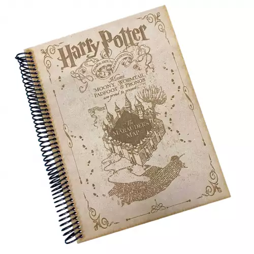 Caja Harry Potter