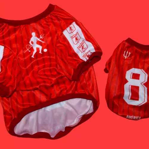 Camiseta América de Cali