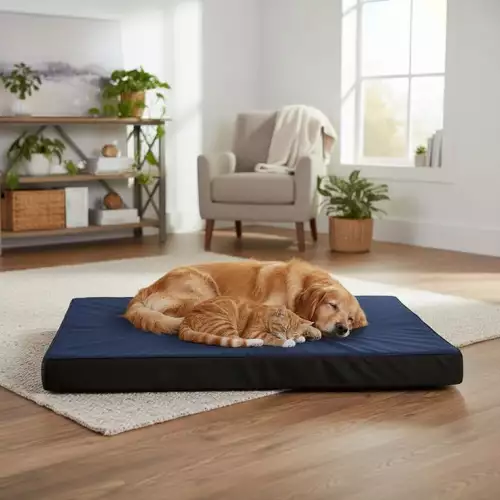 Colchoneta para mascota talla M con tela antifluido