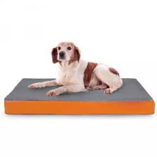 Colchoneta para mascota XS con espuma ergonómica