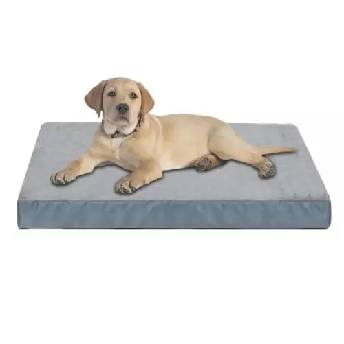 Colchoneta pequeña para mascota talla S antifluido
