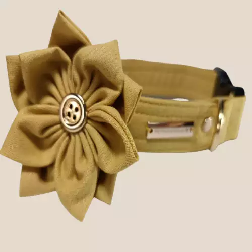 Collar  para perritas mostaza con flor movible
