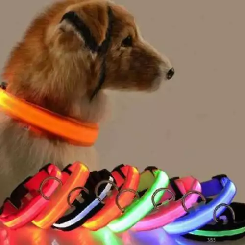 Collar luminoso neon ajustable para gatos y perros