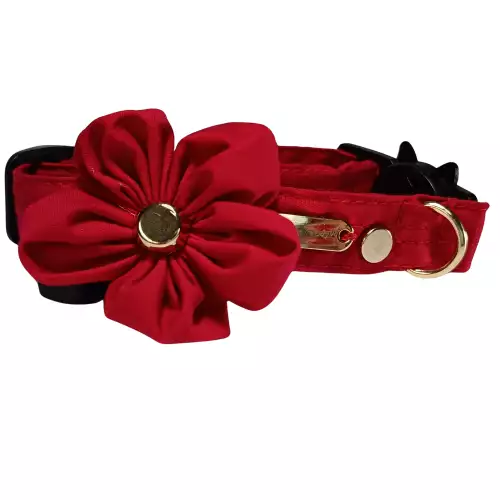 Collar para gata talla M ajustable con broche antiahogo