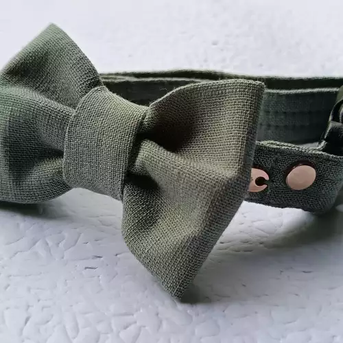 Collar para perro talla XS ajustable con corbatín removible
