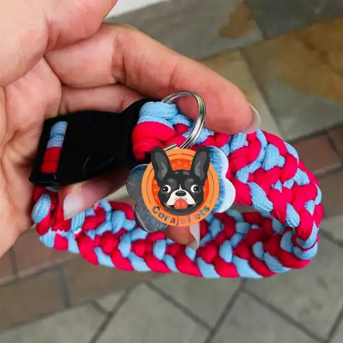 Collar Perro "Dúo de Elegancia"