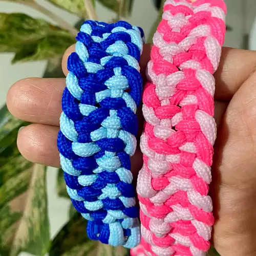Collar Perro "Dúo de Elegancia"