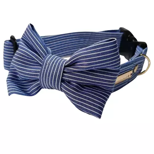 Collar perro rayas