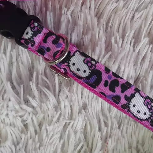 Collar de identificación para mascotas