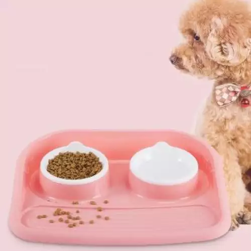 Comedero doble anti regueros para perros y gatos