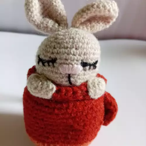 Conejo en taza