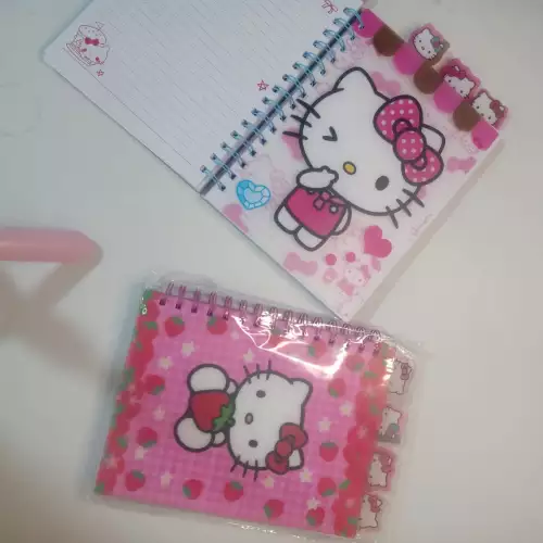Cuaderno Hello Kitty con divisiones