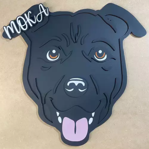 Cuadro Mascota Pitbull