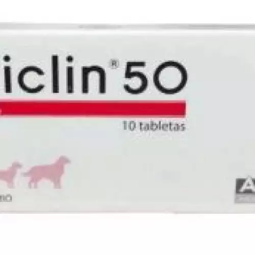 DICICLIN 50 (DIXICICLINA) X 10 TABLETAS