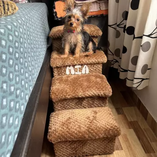 Escalera acolchada para perro 60 cm 4 escalones