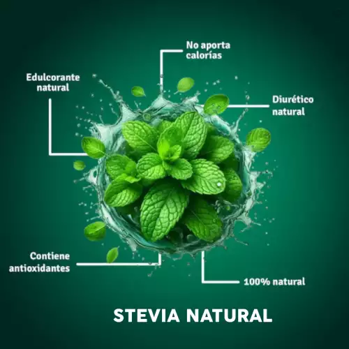 Extracto de Stevia RA 60% S95% 500g