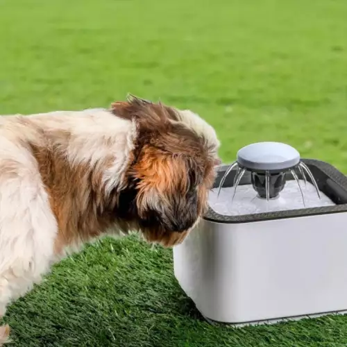 Fuente de agua para mascotas 2.5L con filtros silenciosa