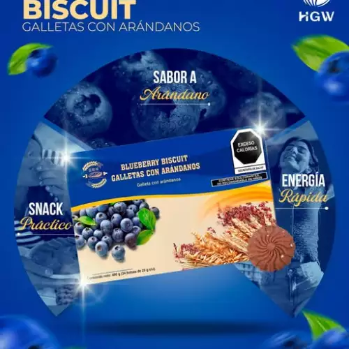 Galletas con arándanos snack delicioso y energético