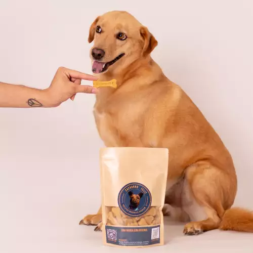 Galletas organicas por 250G