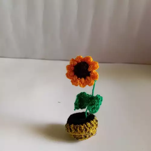 Girasol para dia de madre