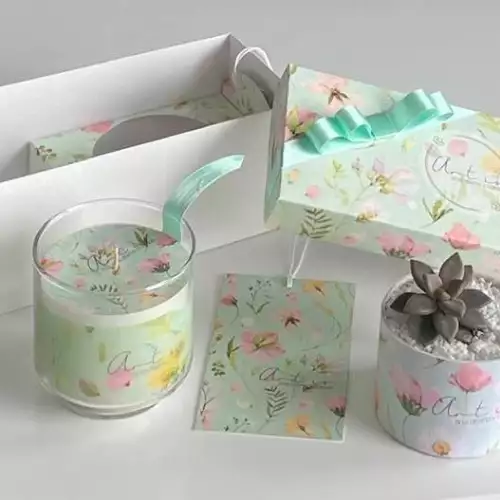 Kit decorativo vela aromática y suculenta con diseño