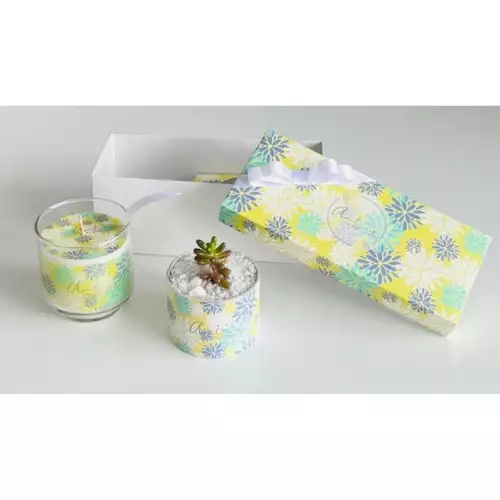 Kit vela y planta decorativa opción 1 para hogar