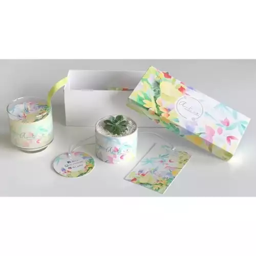 Kit vela y planta decorativa opción 2 para hogar