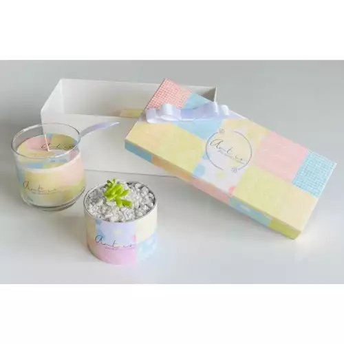 Kit vela y planta decorativa opción 3 para hogar