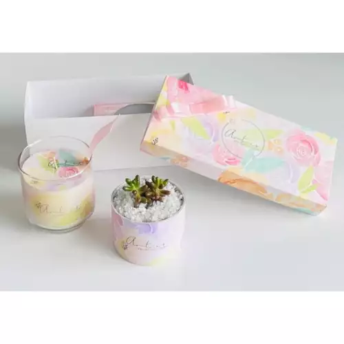 Kit vela y planta decorativa opción 4 para hogar