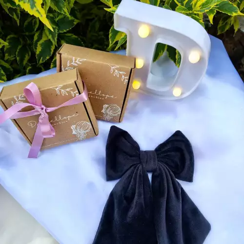 Lazos o moños velvet