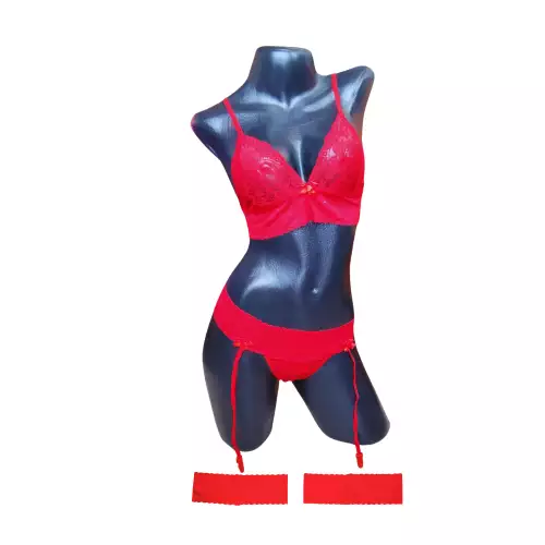 Lenceria Femenina Conjunto ropa interior femenina con Ligas Liguero 234 ROJO