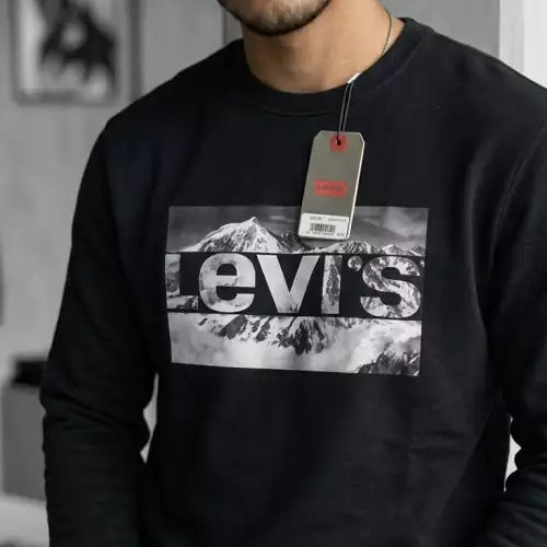 Levi's® Buzo Crewneck Mountain Peak