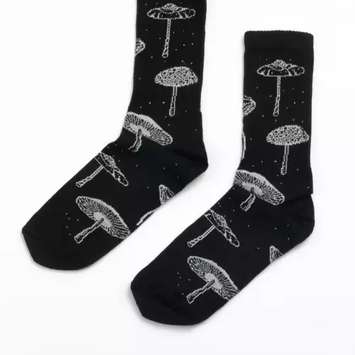 Medias Hongos