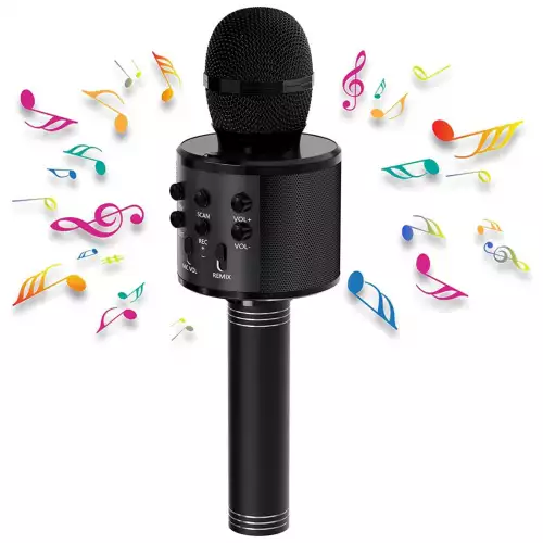 Micrófono De Karaoke Bluetooth WS-858 Negro