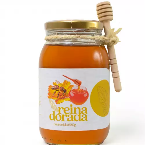 Miel de abejas pura  -620 gramos con palito mielero