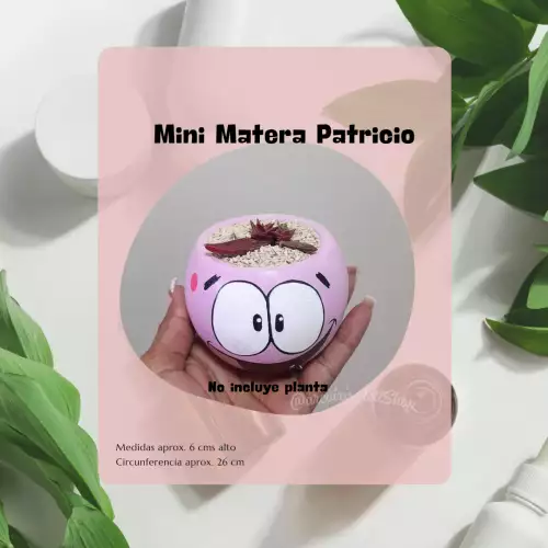 Minimatera Patricio pintada a mano para suculentas